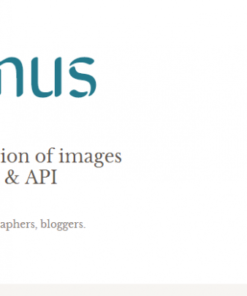 Trọn bộ Plugin trả phí siêu cần thiết cho Website 42 optimus 800x405 1