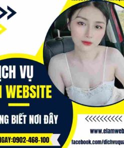 Mẫu web review công nghệ 65 mau giao dien web wordpress cho nhiep anh gia