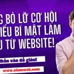 Thiết kế web chuyên nghiệp Hồ Chí Minh - nhloc.com