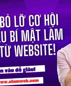 dia chi thiet ke web mien trung