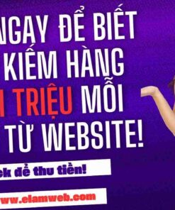 dich vu thiet ke web da nang