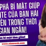 Địa chỉ thiết kế web Vĩnh Long - nhloc.com