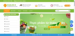 noi tu van lam trang web java