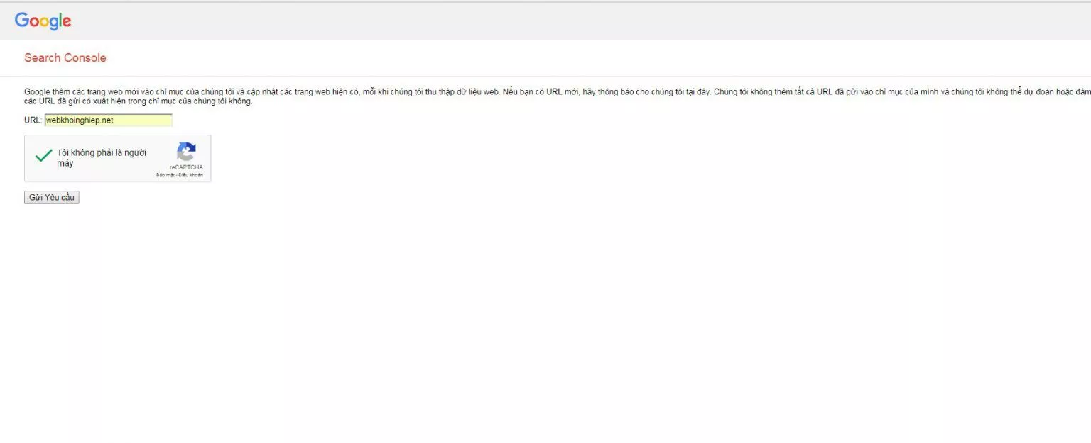 2 huong dan bat index goolge cho web