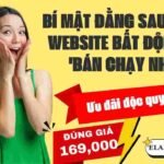 Thiết kế web du lịch bằng wordpress - nhloc.com