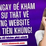 Dịch vụ thiết kế web Miền Tây - nhloc.com