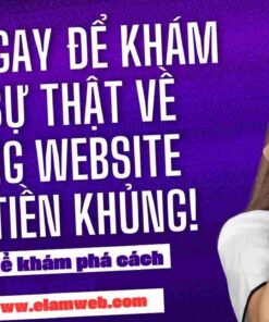 Web bán hàng điện thoại di động 103 dich vu lam web wordpress mien phi