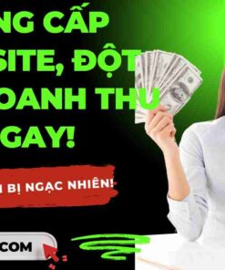 thiet ke trang web tai hai phong