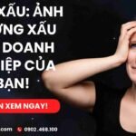 Dịch vụ quảng cáo website hiểu quả - nhloc.com