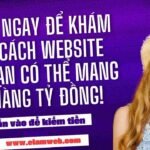 Shop  bán thực phẩm chức năng Vita - nhloc.com