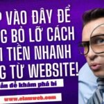 Công ty thiết kế web Bình Dương - nhloc.com