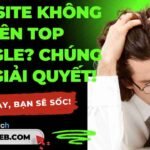 Thiết kế web tại Gia Lai - nhloc.com