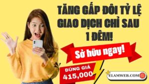 thiet ke web gia re vung tau