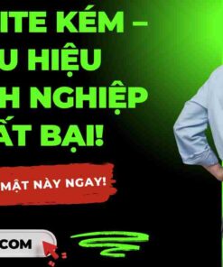 thiet ke web khanh hoa