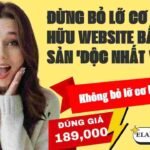 Dịch vụ quảng cáo website hiểu quả - nhloc.com