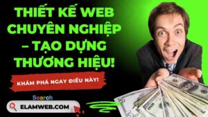 thiet ke web o ha noi