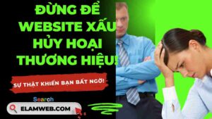 thiet ke web o tphcm