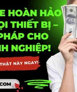 thiet ke web quan 11