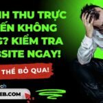 Thiết kế web chuyên nghiệp tại quận 1 - nhloc.com