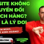 Thiết kế web chuyên nghiệp tại quận 3 - nhloc.com
