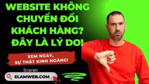 thiet ke web tai dak lak