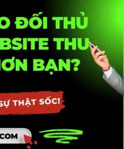 thiet ke web tai ho chi minh