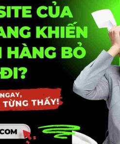 thiet ke web tai tphcm