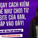 Thiết kế website Phú Quốc - nhloc.com