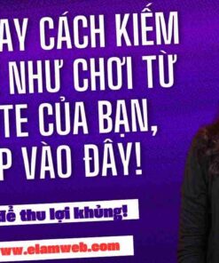 thiet ke web thanh pho hcm