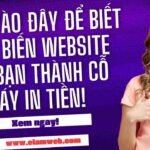 Thiết kế web chuyên nghiệp tại Hồ Chí Minh - nhloc.com