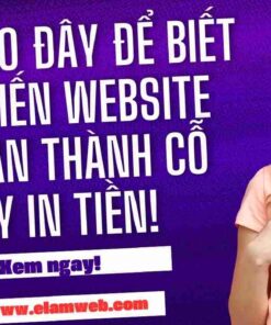 thiet ke web wordpress gia tot