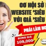 Dịch vụ quảng cáo website hiểu quả - nhloc.com