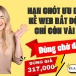 Dịch vụ quảng cáo website hiểu quả - nhloc.com