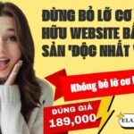 Dịch vụ quảng cáo website hiểu quả - nhloc.com
