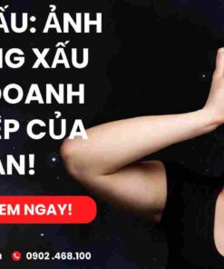 thiet ke web tron goi gia re