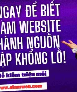 thiet ke website gia re