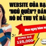 Dịch vụ quảng cáo website hiểu quả - nhloc.com