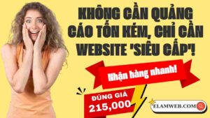 xay dung website bat dong san
